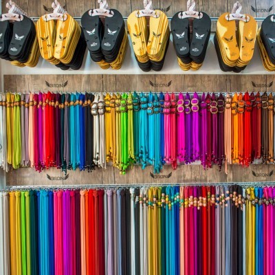 Sunkissedgals-birdini nz