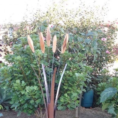 Stuff made from Wood